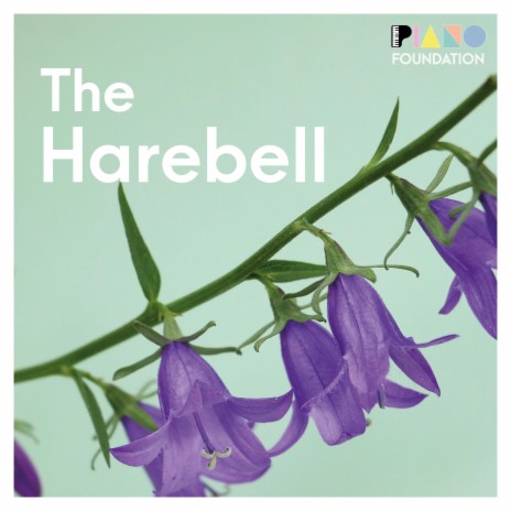 The Harebell (Piano)