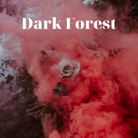 Dark Forest
