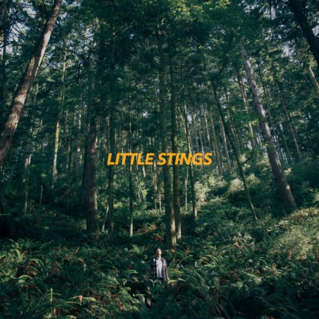 Little Stings | Boomplay Music