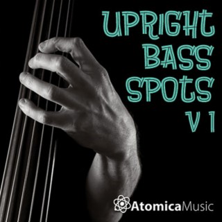 Upright Bass Spots V1