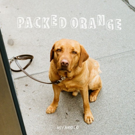Packed Orange | Boomplay Music