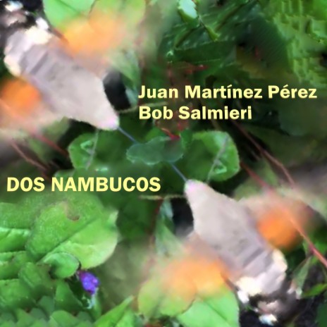 Dos Nambucos ft. Bob Salmieri | Boomplay Music