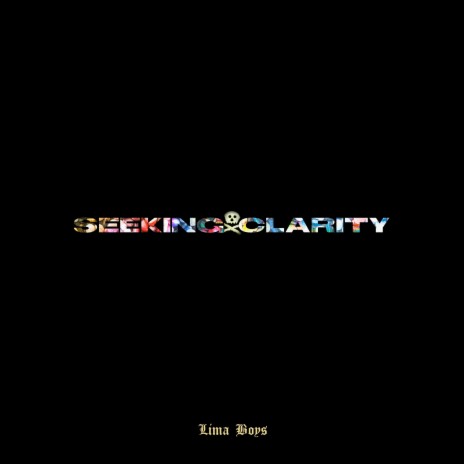 Seeking Clarity | Boomplay Music