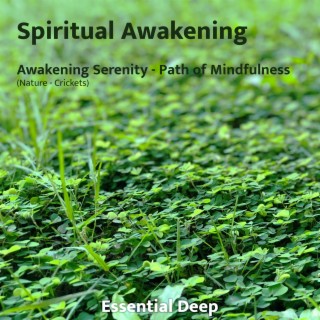 Awakening Serenity - Path of Mindfulness (Nature - Crickets)