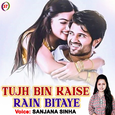 Tujh Bin Kaise Rain Bitaye (Hindi) | Boomplay Music