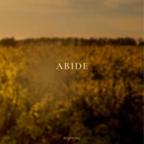 Abide (Radio Edit) ft. Nono