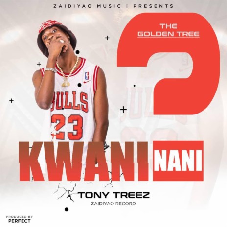 Kwani Nani | Boomplay Music