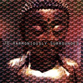 70 Harmoniously Surrounded