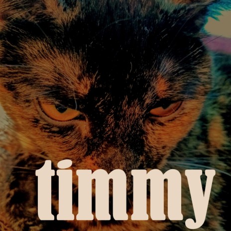 timmy | Boomplay Music