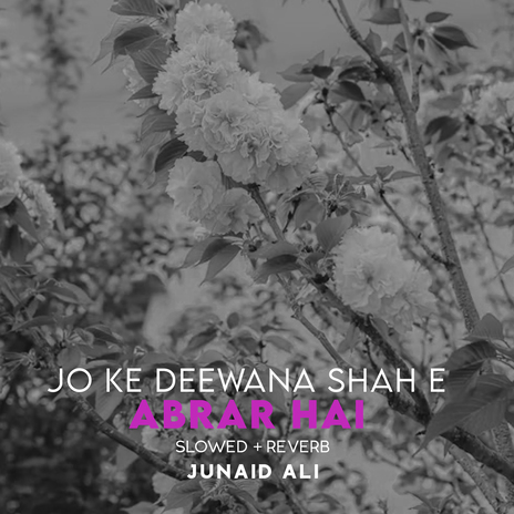 Jo Ke Deewana Shah e Abrar Hai Lofi | Boomplay Music