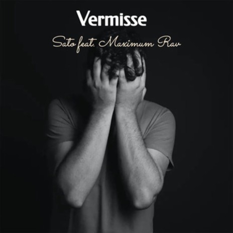 Vermisse ft. MAXIMUM RAV | Boomplay Music