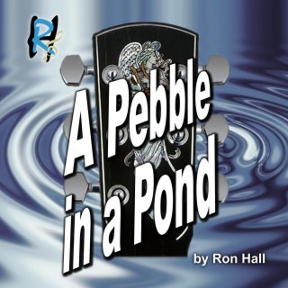 A Pebble In A Pond lyrics | Boomplay Music