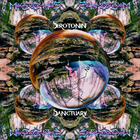 Serotonin Sanctuary (Arcadian Sound Remix) | Boomplay Music