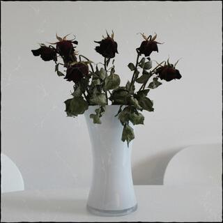 dead flowers lyrics | Boomplay Music