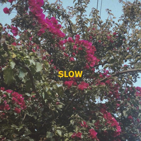 SLOW | Boomplay Music