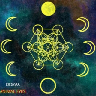 Animal Eyes