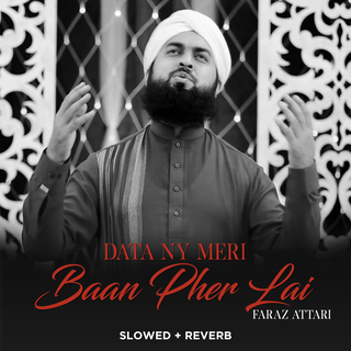 Data Ny Meri Baan Pher Lai (Lofi-Mix)