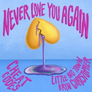 Never Love You Again