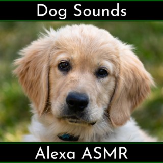 Dog Sounds