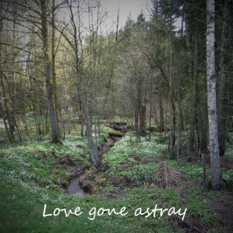 Love gone astray | Boomplay Music