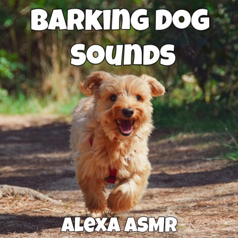 Barking Dog Sounds | Boomplay Music