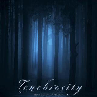 Tenebrosity