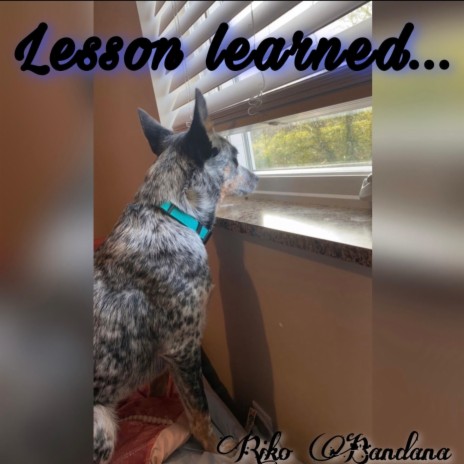 Lesson learned