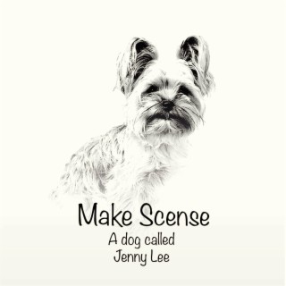 Make Sence