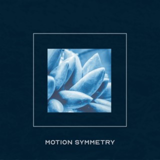 Motion Symmetry