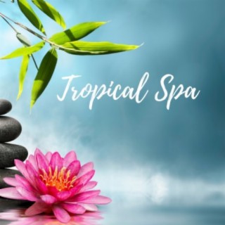 Tropical Spa