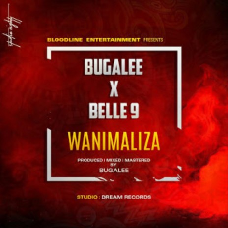 Wanimaliza ft. Belle 9