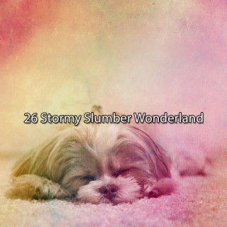 26 Stormy Slumber Wonderland