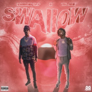 Swallow ft. YN Jay lyrics | Boomplay Music