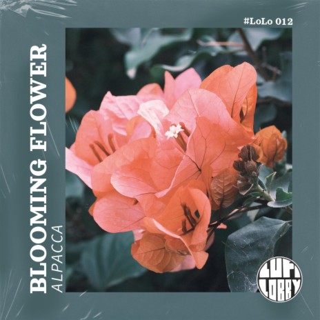 Blooming Flower | Boomplay Music
