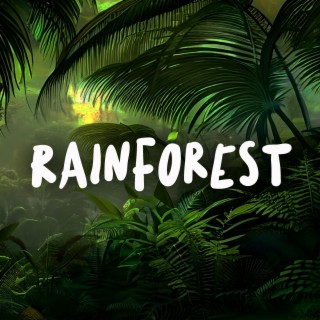 Rainforest