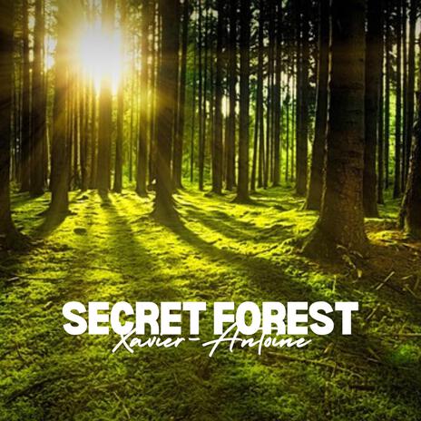 Secret forest | Boomplay Music