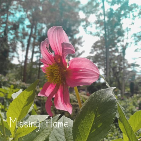 Missing Home | Boomplay Music