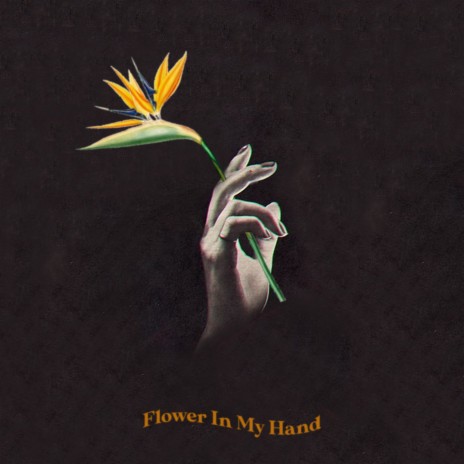 Flower in My Hand | Boomplay Music