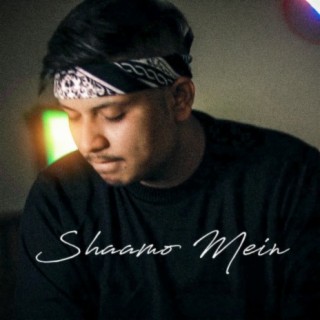 Shaamo Mein lyrics | Boomplay Music