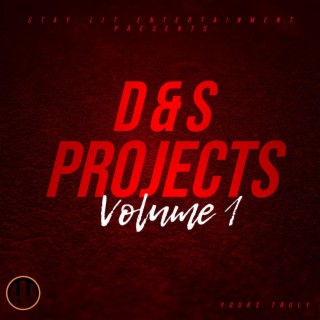 D & S Projects, Vol. 1
