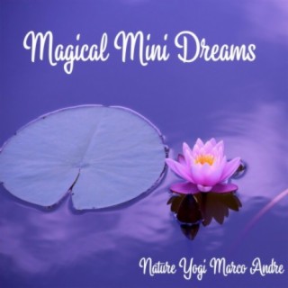 Magical Mini Dreams