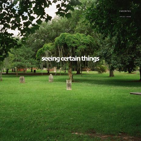 seeing certain things | Boomplay Music