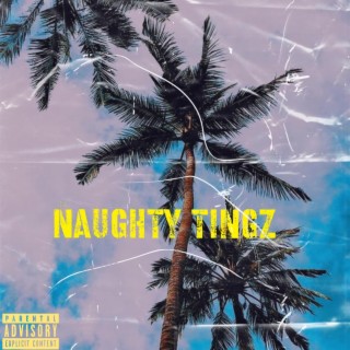 Naughty Tingz lyrics | Boomplay Music