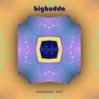 Meditation 242