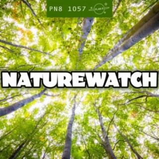 Naturewatch: Colourful Earth Seasons
