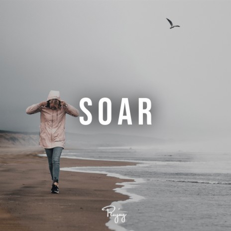 Soar ft. Mirov | Boomplay Music