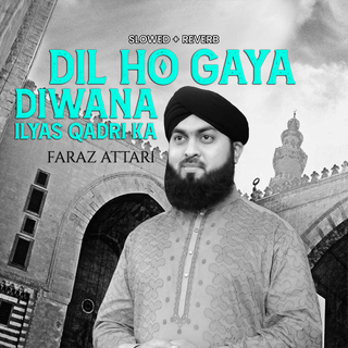Dil Ho Gaya Diwana Ilyas Qadri Ka (Lofi-Mix)
