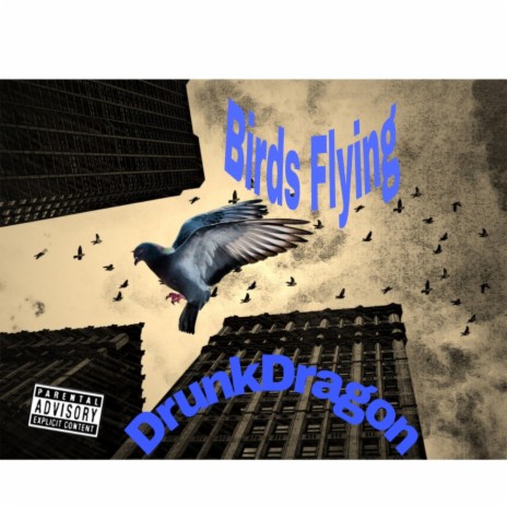 Birds Flying | Boomplay Music