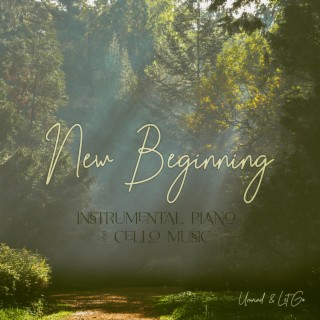 New Beginning