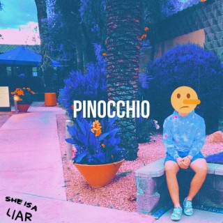 Pinocchio lyrics | Boomplay Music